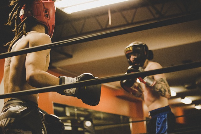 Sparring jako forma tréniku v boxu a jiných bojových sportech